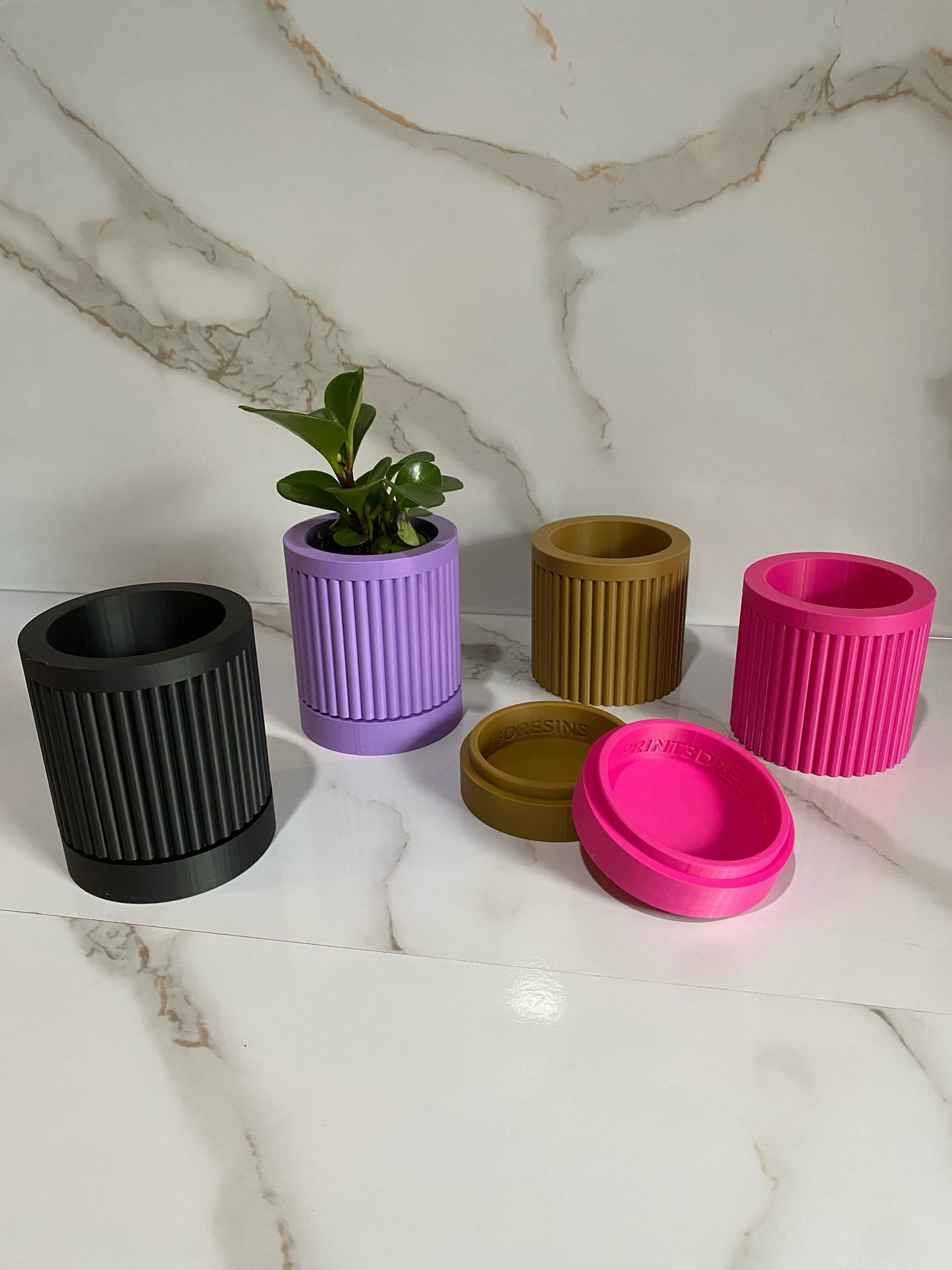 Indoor Planter & Drip Tray Daphnee Planter