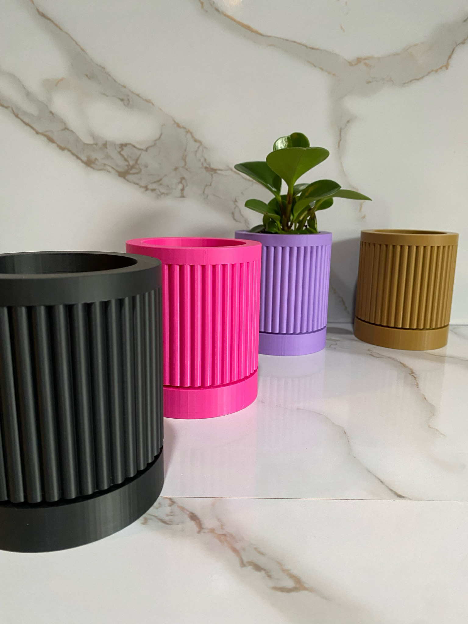 Indoor Planter & Drip Tray Daphnee Planter