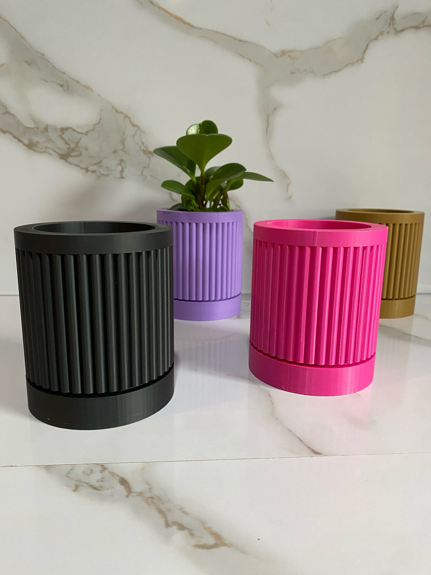 Indoor Planter & Drip Tray Daphnee Planter