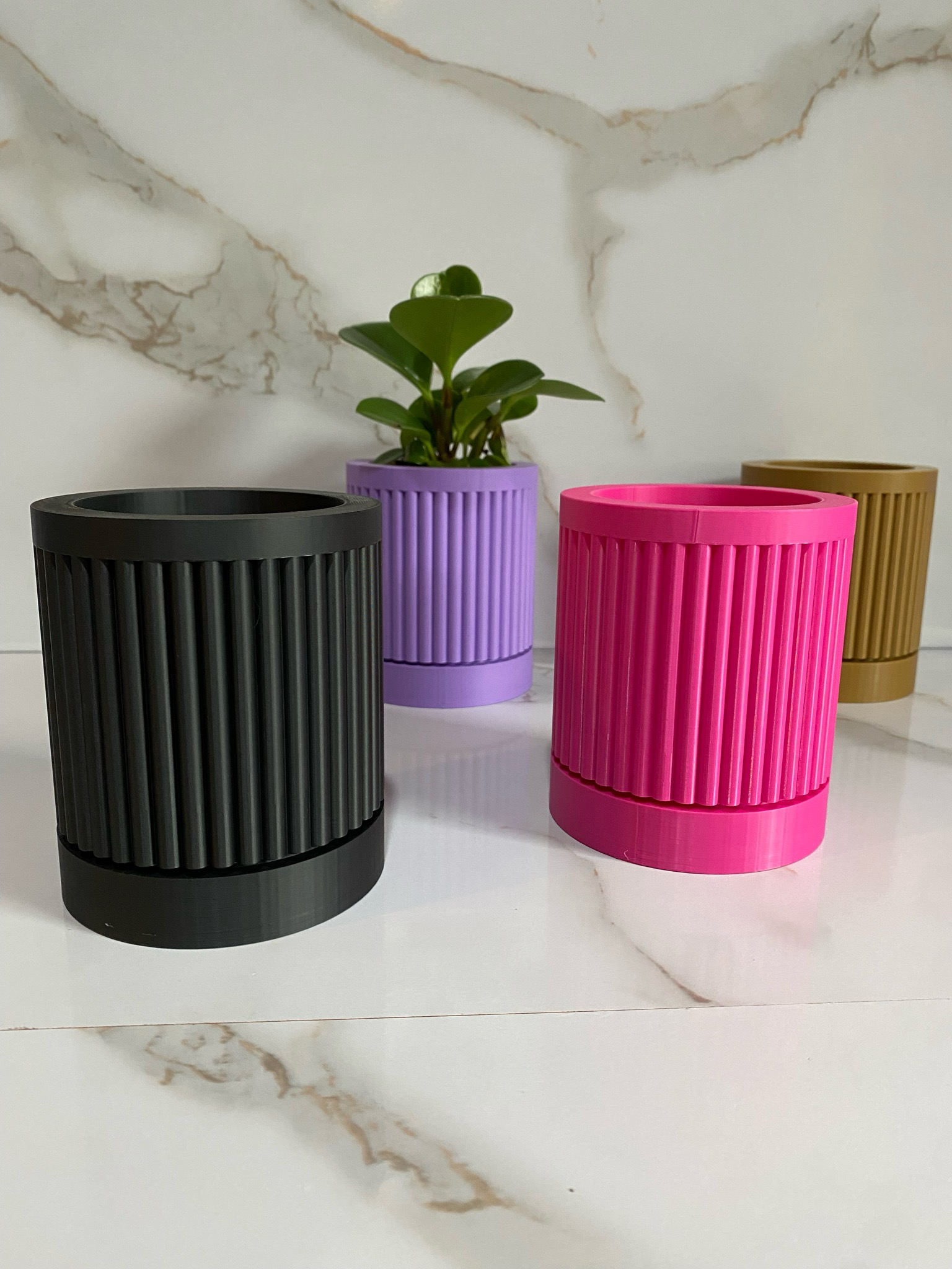 Indoor Planter & Drip Tray Daphnee Planter