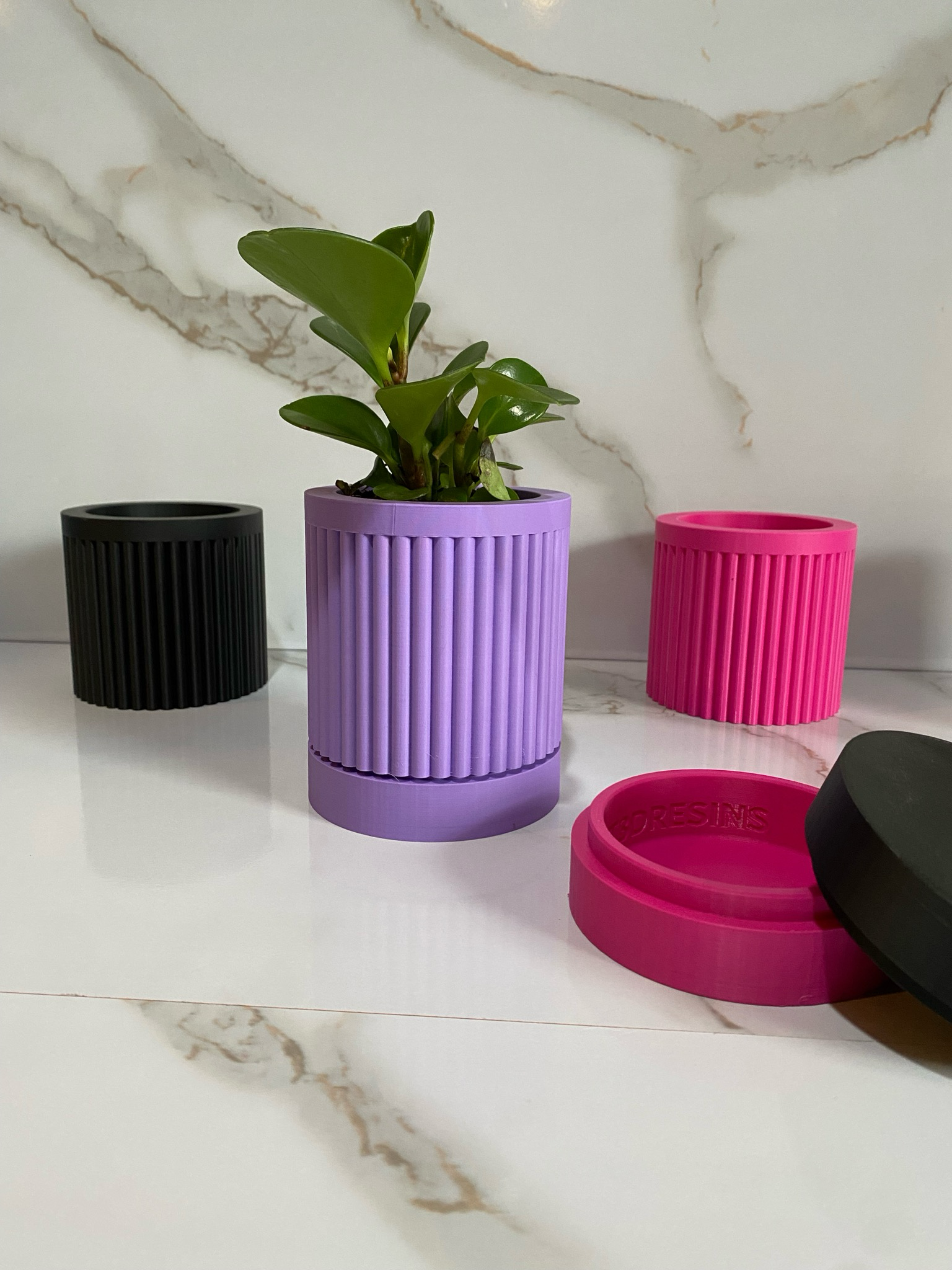 Indoor Planter & Drip Tray Daphnee Planter