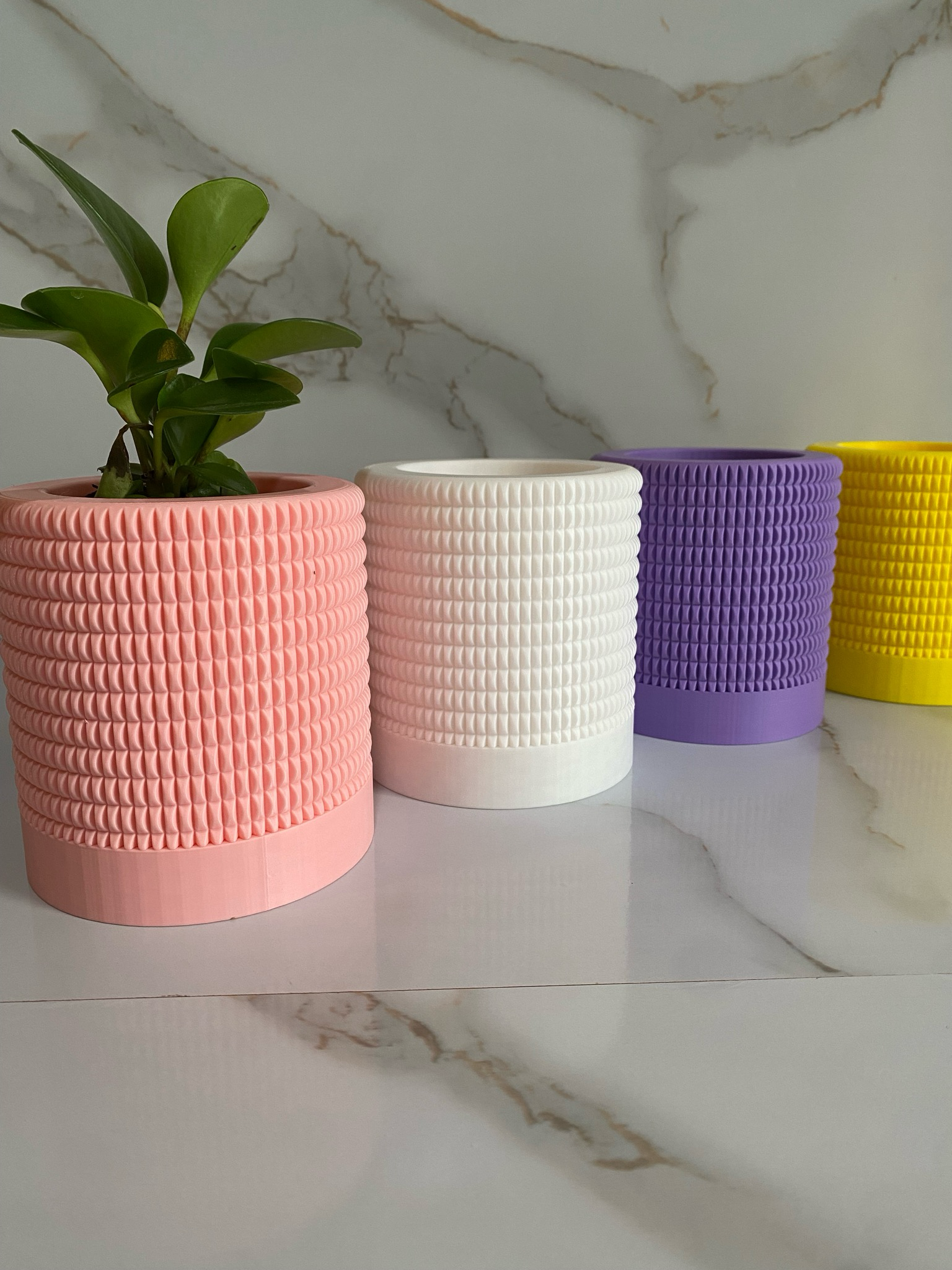 Indoor Planter & Drip Tray Anemone Planter