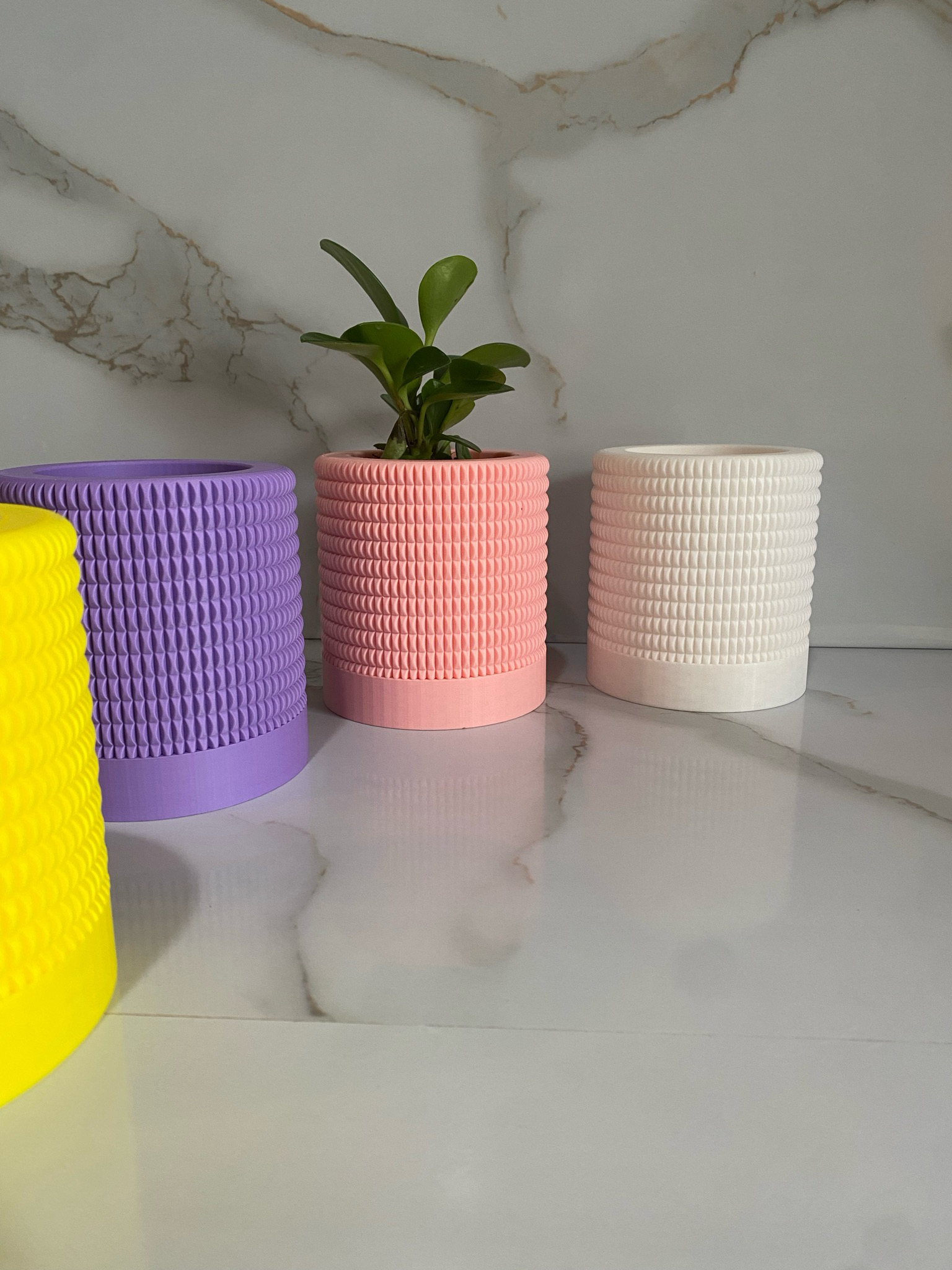 Indoor Planter & Drip Tray Anemone Planter