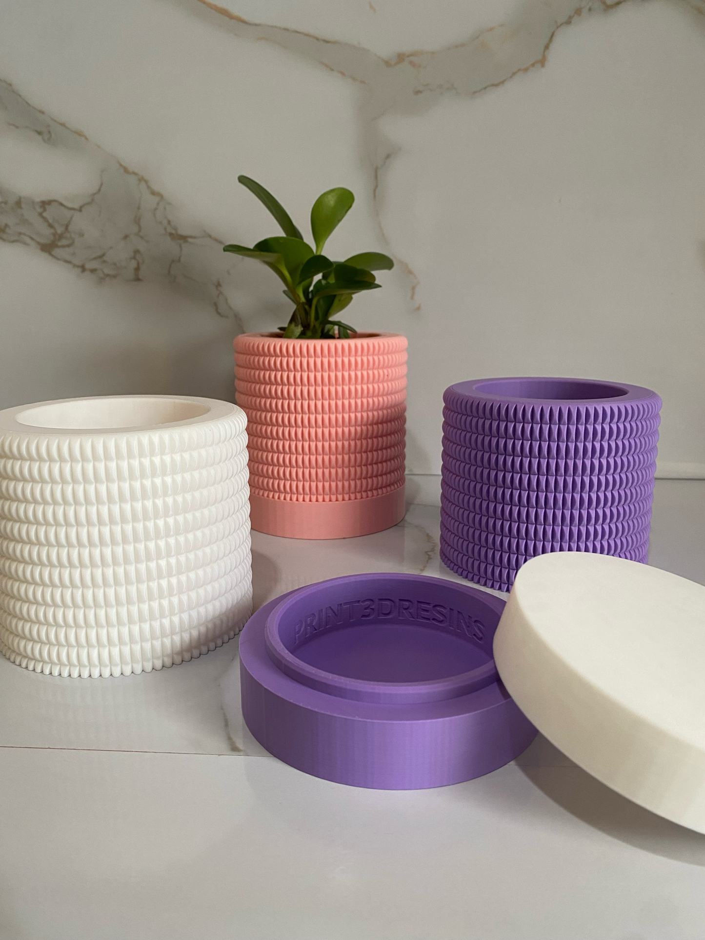 Indoor Planter & Drip Tray Anemone Planter