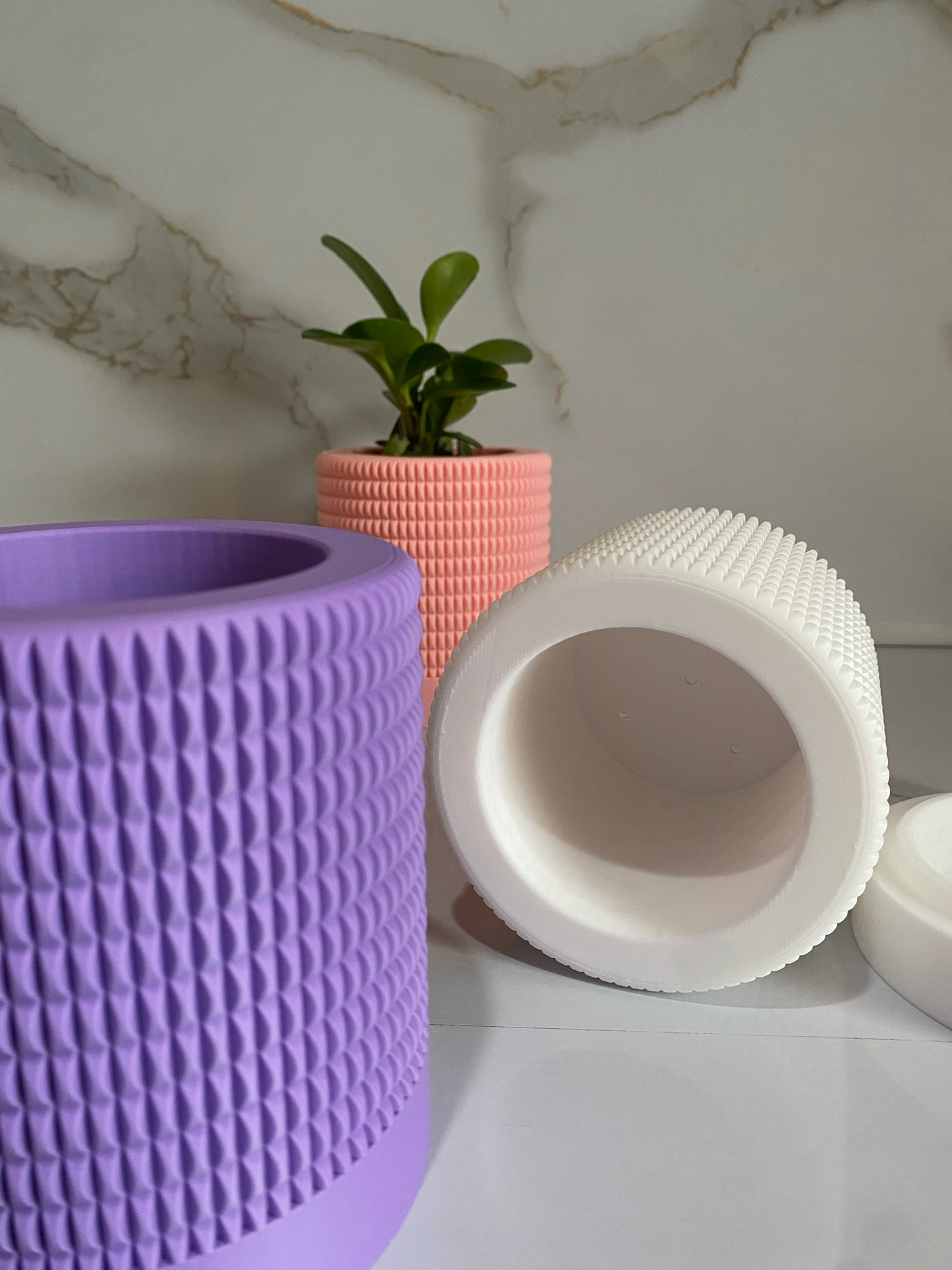 Indoor Planter & Drip Tray Anemone Planter