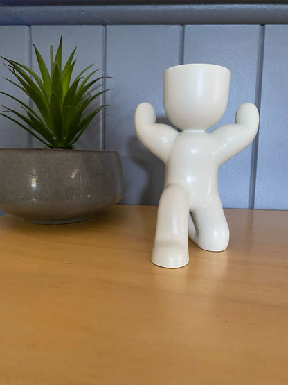 ​Strong Boy Indoor Planter Pot