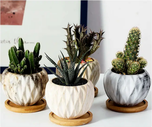Nordic Ceramic Succulent Planter