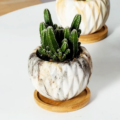 Nordic Ceramic Succulent Planter