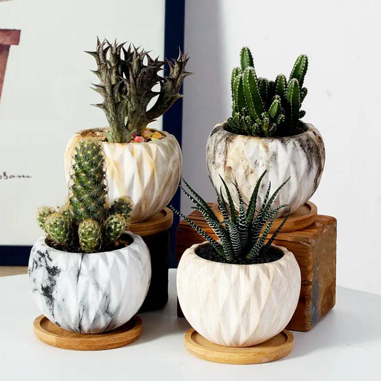 Nordic Ceramic Succulent Planter
