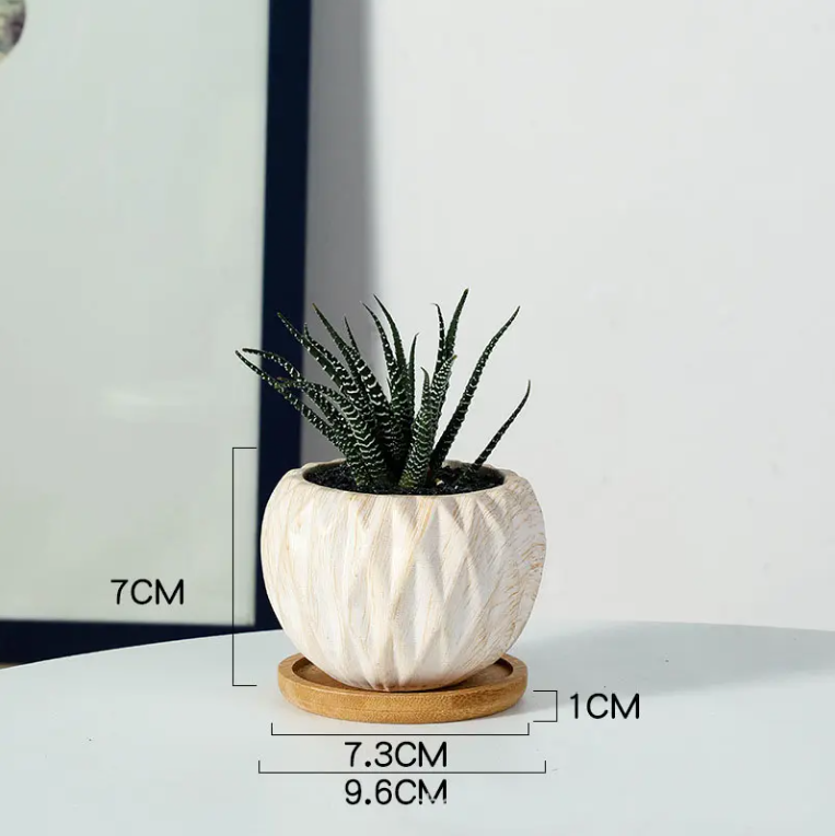 Nordic Ceramic Succulent Planter