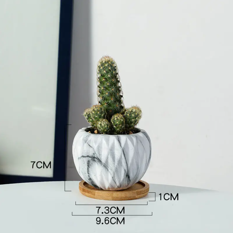 Nordic Ceramic Succulent Planter
