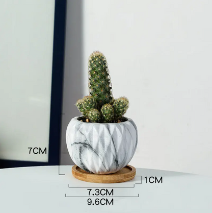 Nordic Ceramic Succulent Planter