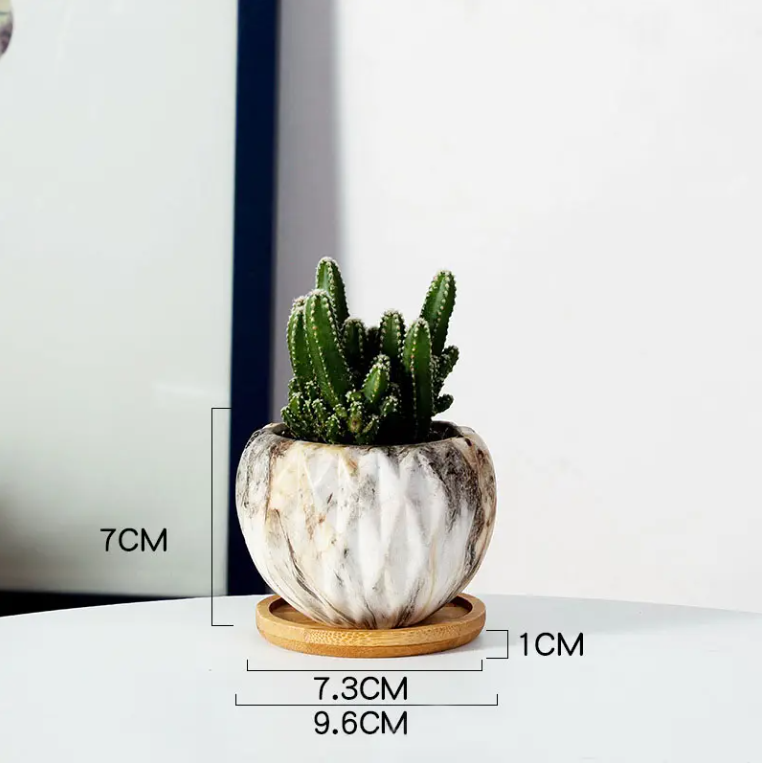 Nordic Ceramic Succulent Planter