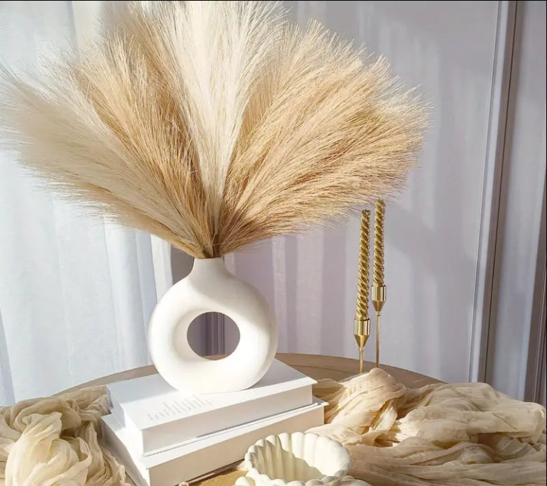 Fluffy Pampas Grass Boho Decor