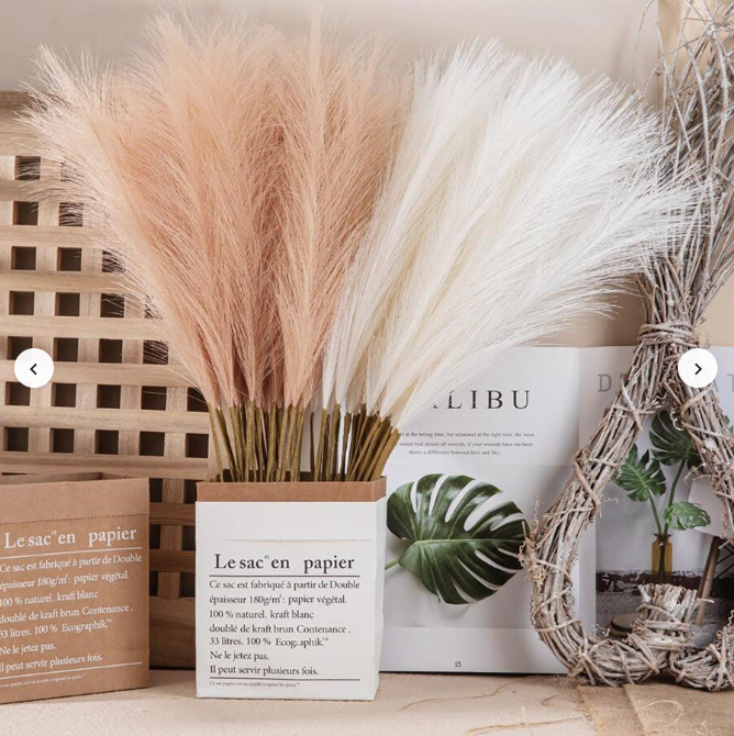 Fluffy Pampas Grass Boho Decor
