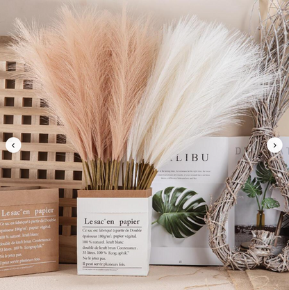 Fluffy Pampas Grass Boho Decor
