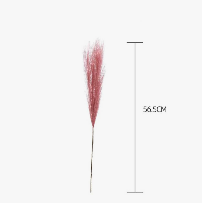 Fluffy Pampas Grass Boho Decor